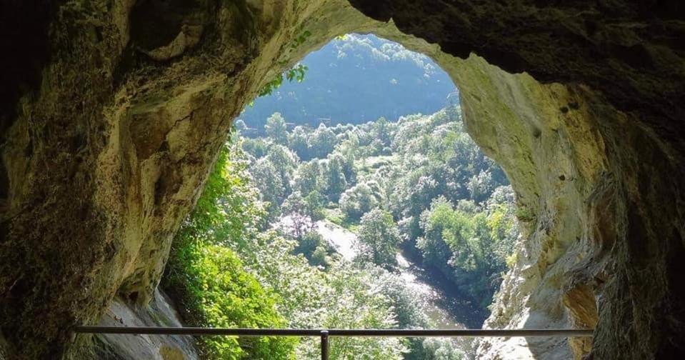 L'Echappee Au Jardin, Yourte Bucolique Godinne المظهر الخارجي الصورة
